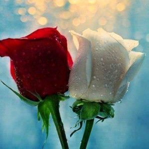 Meet your Posher, Tamica